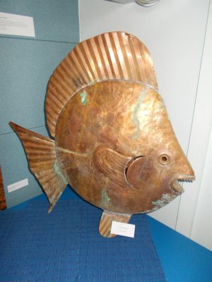 Katarzyna Czub 10